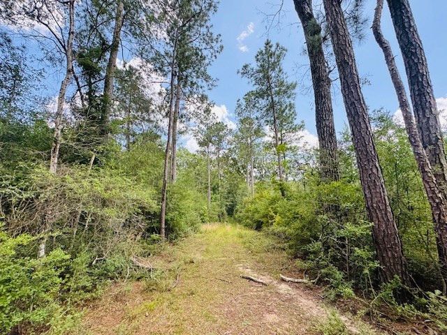 93 Brock Road, Tylertown, MS 39667