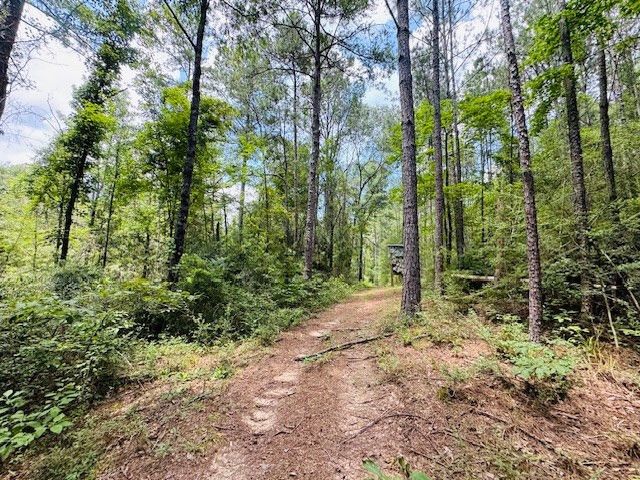 93 Brock Road, Tylertown, MS 39667