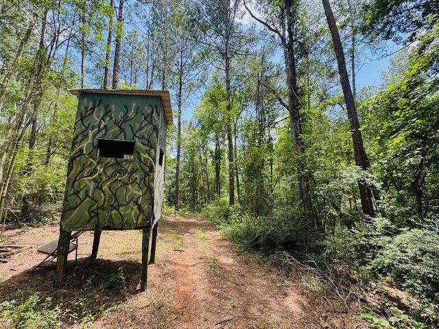 93 Brock Road, Tylertown, MS 39667