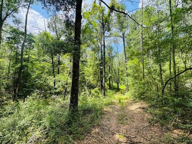 93 Brock Road, Tylertown, MS 39667