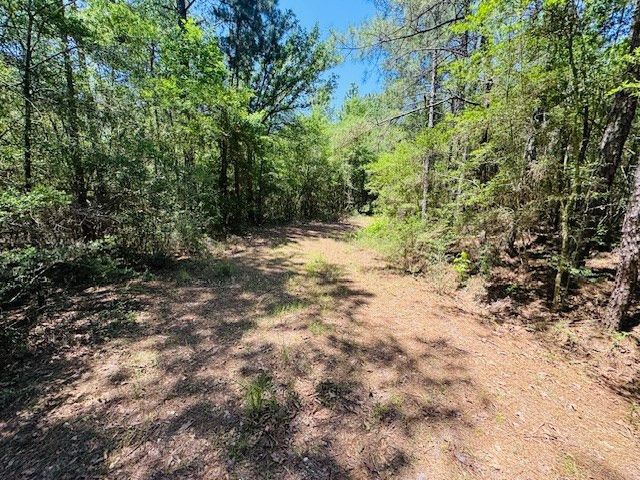 93 Brock Road, Tylertown, MS 39667