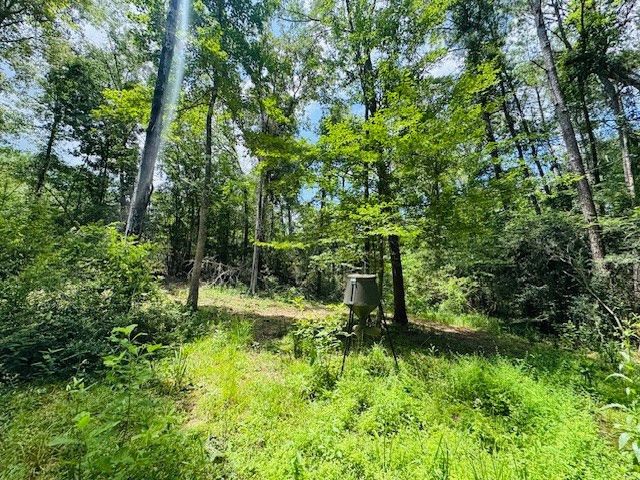 93 Brock Road, Tylertown, MS 39667