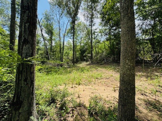 93 Brock Road, Tylertown, MS 39667