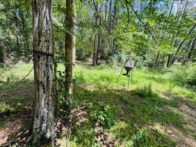 93 Brock Road, Tylertown, MS 39667