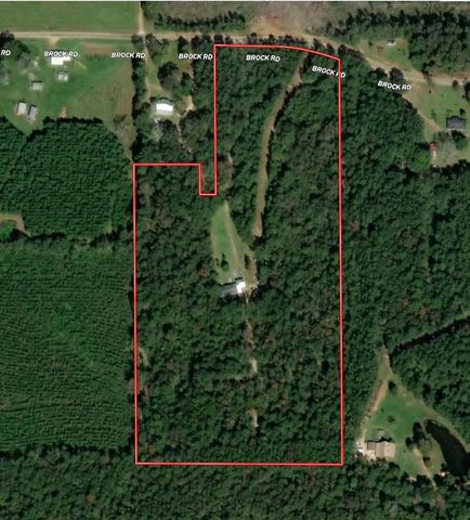 93 Brock Road, Tylertown, MS 39667