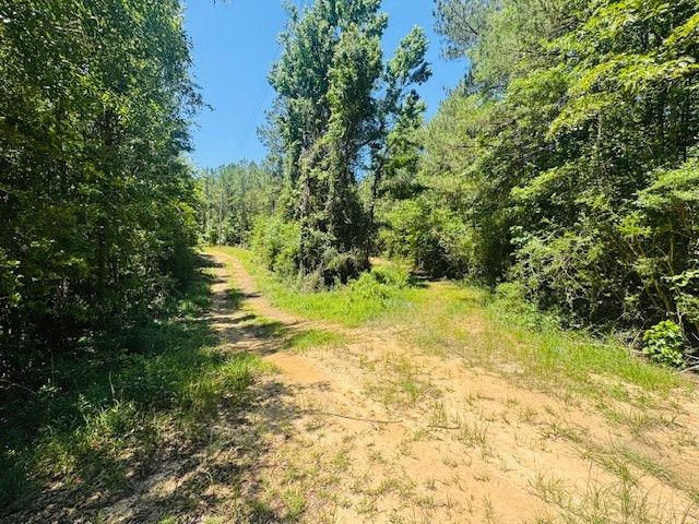 93 Brock Road, Tylertown, MS 39667