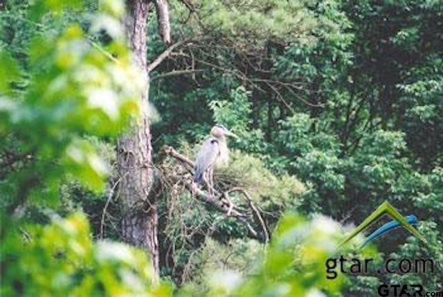 117 Cypress Circle, Mt Vernon, TX 75457