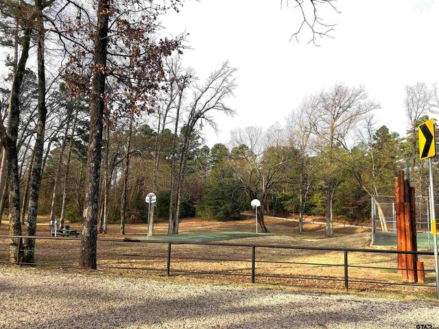 117 Cypress Circle, Mt Vernon, TX 75457