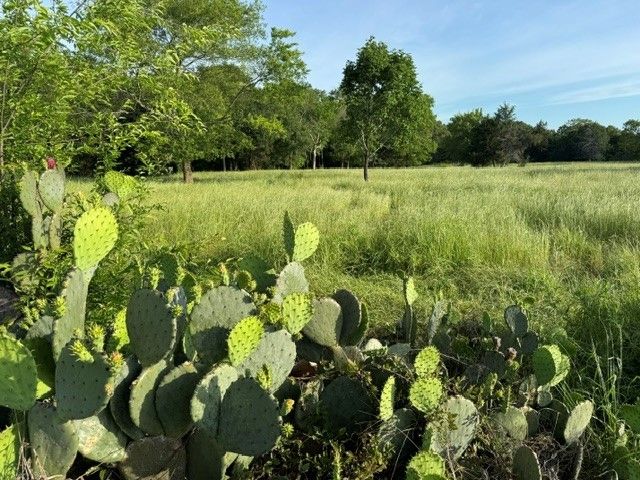NA County road 1730, Yantis, TX 75497