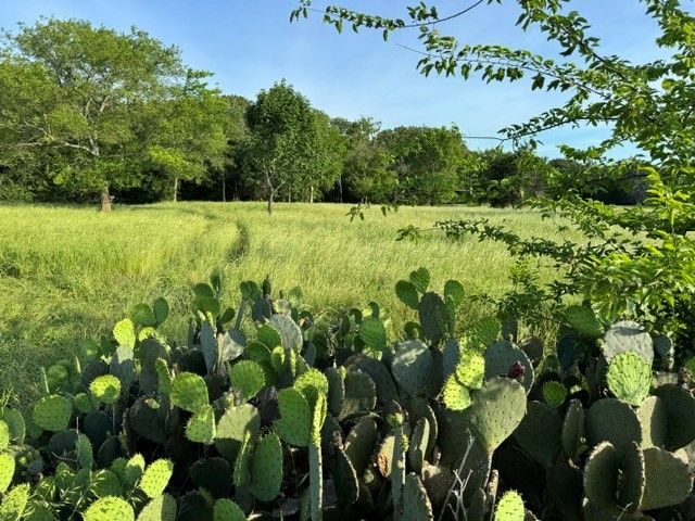 NA County road 1730, Yantis, TX 75497