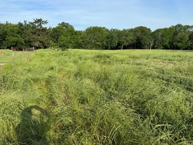 NA County road 1730, Yantis, TX 75497
