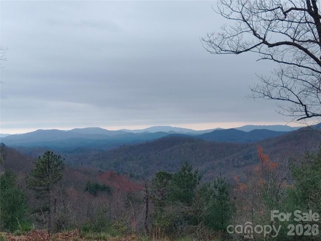 92 Mountain Magnolia Drive, Leicester, NC 28748