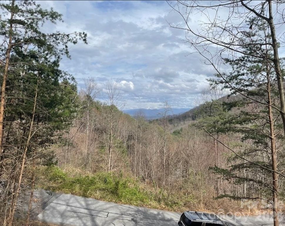 92 Mountain Magnolia Drive, Leicester, NC 28748