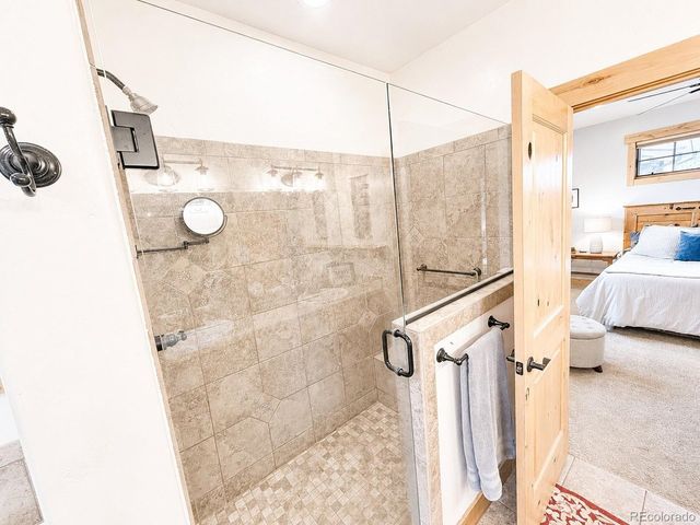 121 Meadow Ln, Buena Vista, CO 81211