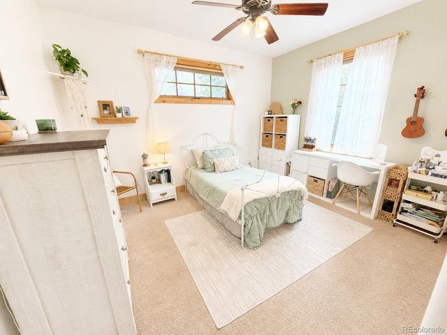 121 Meadow Ln, Buena Vista, CO 81211