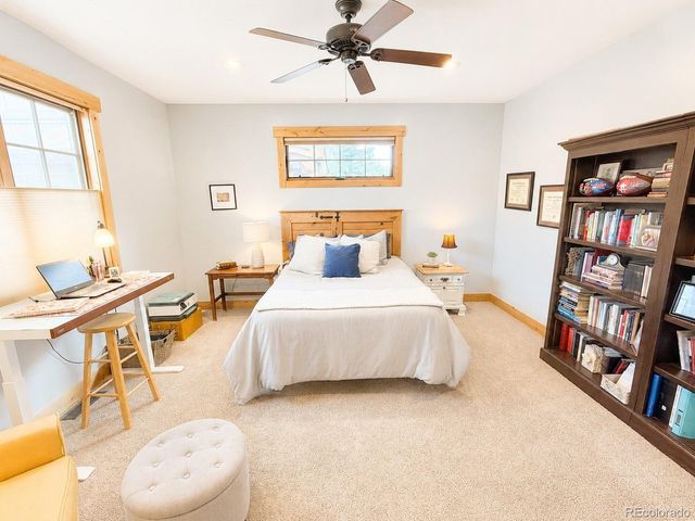 121 Meadow Ln, Buena Vista, CO 81211