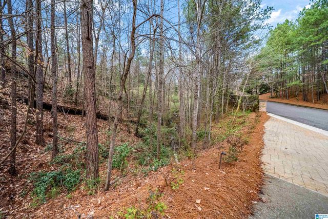 3551 SPRING VALLEY COURT, Mountain Brook, AL 35223