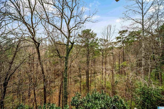 3551 SPRING VALLEY COURT, Mountain Brook, AL 35223