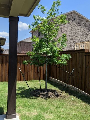 260 Lee Roy Jordan, Irving, TX 75063