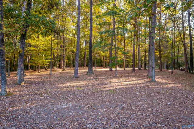 7721 Highway 9 S, Centre, AL 35960