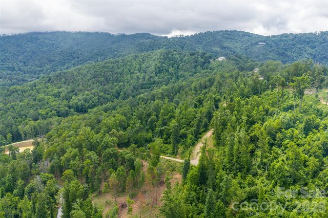 99999 Bear View Road, Weaverville, NC 28787