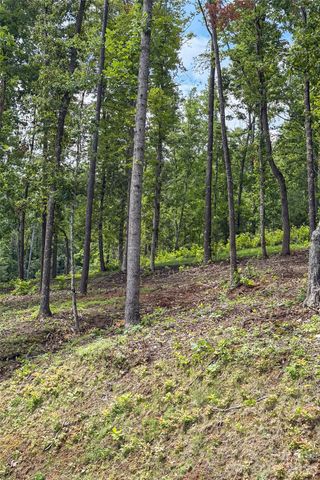 99999 Bear View Road, Weaverville, NC 28787