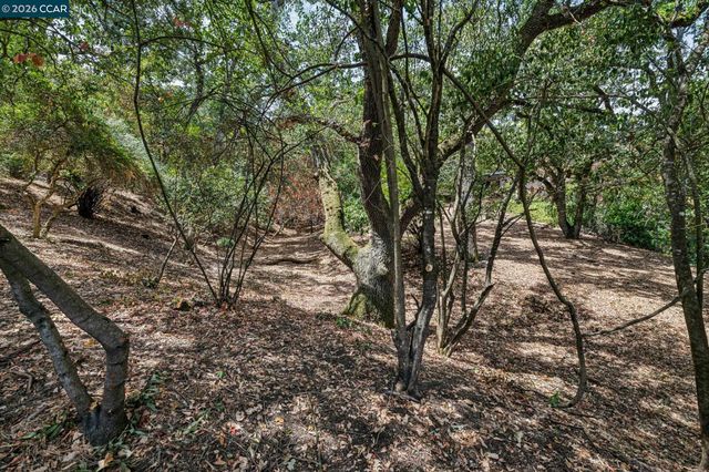 Ridge Road, Lafayette, CA 94549