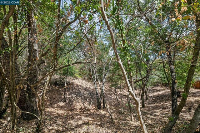 Ridge Road, Lafayette, CA 94549