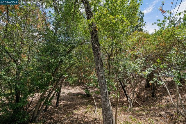 Ridge Road, Lafayette, CA 94549