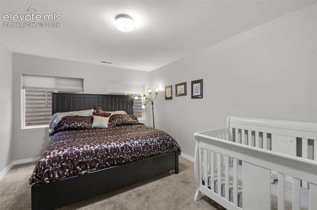 3691 Plantation Grove, Colorado Springs, CO 80920