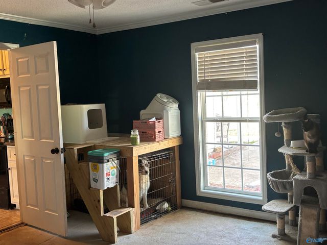 110 Saint Clair Drive, New Market, AL 35761