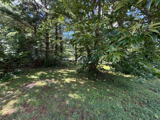 303 Freedom School Road, Mt Vernon, KY 40456