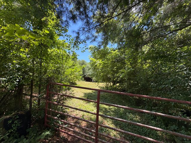 303 Freedom School Road, Mt Vernon, KY 40456