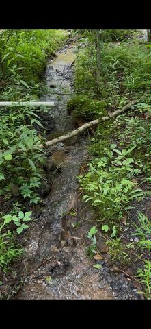 30 Laurel Branch, Blue Ridge, GA 30513