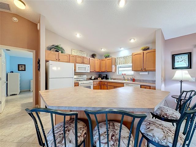 1399 HOLLY HILL AVENUE, The Villages, FL 32162