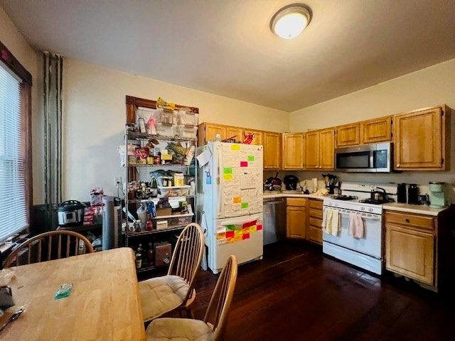 109 Calumet 1, Boston, MA 02120