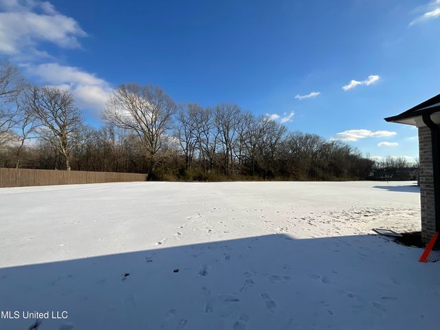 1411 S Clair Circle, Hernando, MS 38632