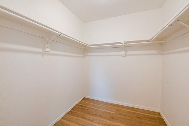 5635 Greenhill Forest Drive, Houston, TX 77088