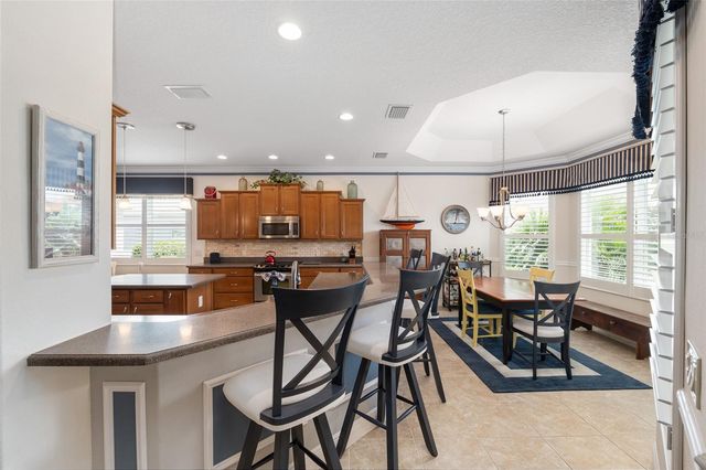 2993 RAINSONG AVENUE, The Villages, FL 32163