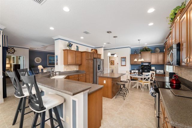 2993 RAINSONG AVENUE, The Villages, FL 32163