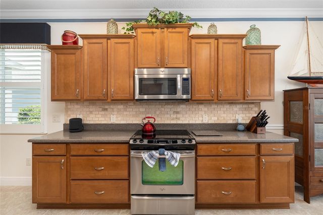 2993 RAINSONG AVENUE, The Villages, FL 32163