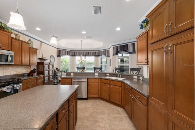 2993 RAINSONG AVENUE, The Villages, FL 32163