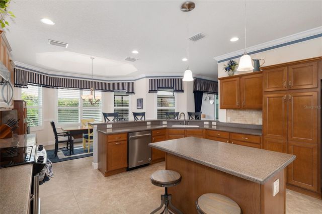 2993 RAINSONG AVENUE, The Villages, FL 32163