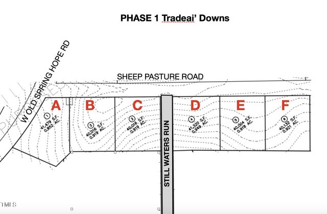 Lot 3 Green Downs Trail, Spring Hope, NC 27882