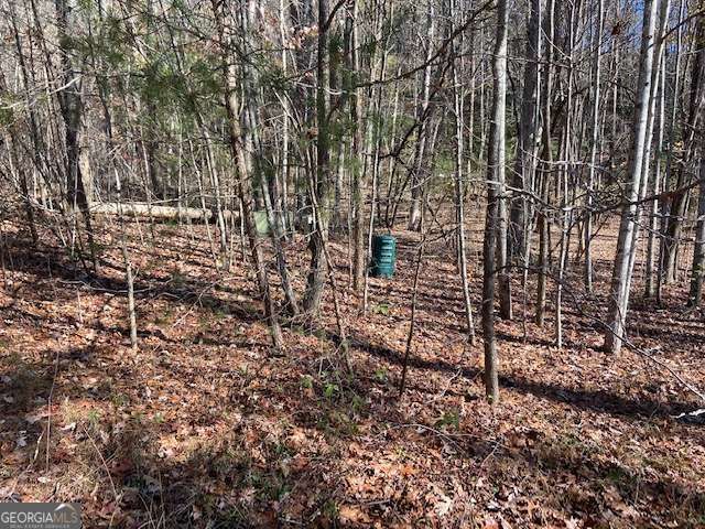 8 Cameron Point, Cleveland, GA 30528