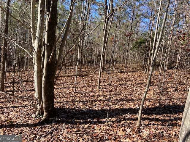 8 Cameron Point, Cleveland, GA 30528