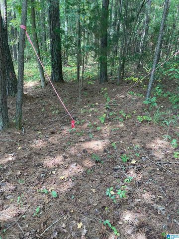 3000 SELF CREEK ROAD, Warrior, AL 35180
