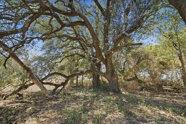 100 Shadle Ridge Court, Poolville, TX 76487