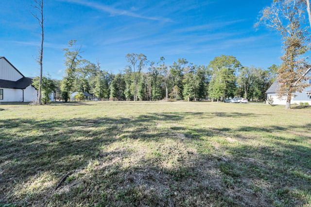 50 Quiet Springs Trail, Willis, TX 77378