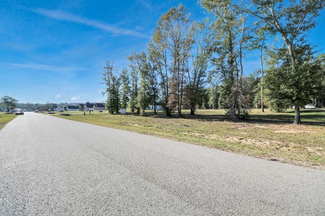 50 Quiet Springs Trail, Willis, TX 77378